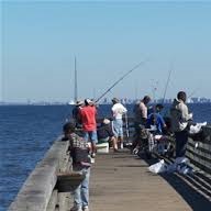 pier angling